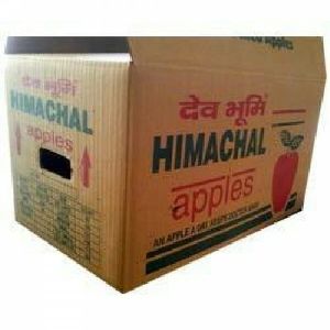 Corrugated Apple Packaging Box