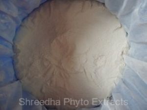 Silymarin Powder