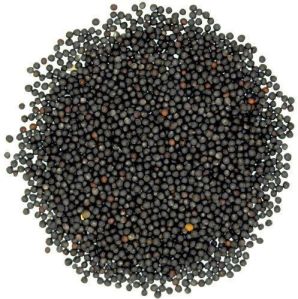 Dried Black Mustard Seeds