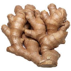 fresh brown ginger