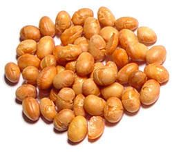 Salted Soya Nuts