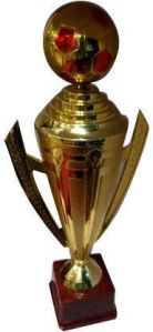 Corporate Award Cup