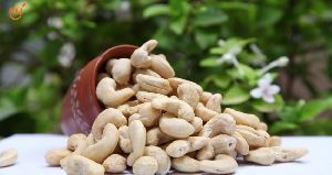 Whole Cashew Nuts