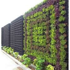 Vertical Garden Wall Decoration Services