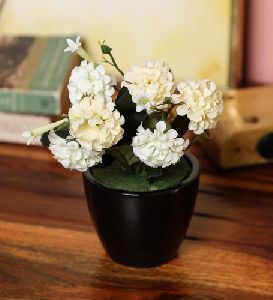 Ceramic Table Top Planter