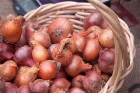 Fresh Shallot Onion