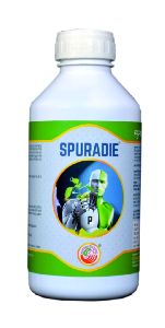 Spuradie Phosphorous Solubilizing Bacteria