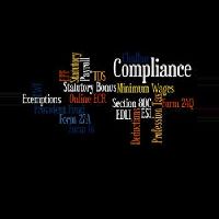 Statutory Compliance Management and Audit in Delhi/NCR