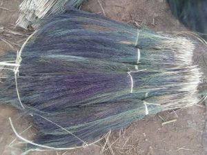 grass broom raw material