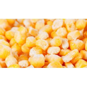 Fresh Frozen Sweet Corn