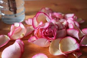 Hydrosol Rose Water