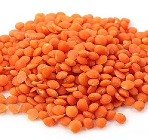 Red Masoor Dal