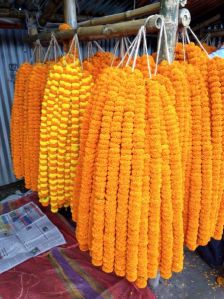 Fresh Marigold Flowers