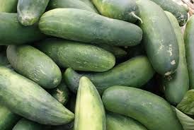 Fresh Cucumber