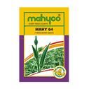 MAHY 64 Hybrid Okra Seeds