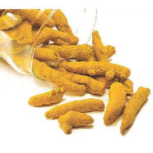 Raw Turmeric