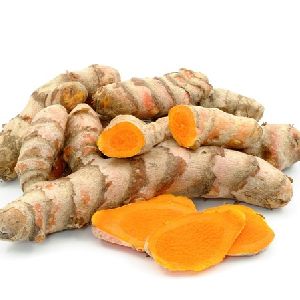 Turmeric Root