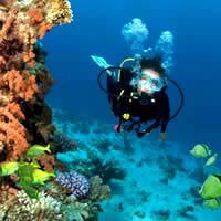 scuba diving services