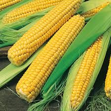 Natural Sweet Corn