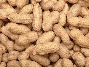 Raw Shelled Groundnuts