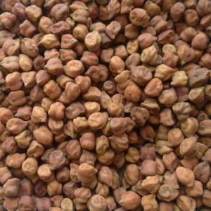 Black Chickpeas