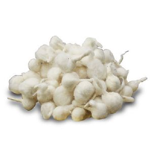 White cotton wicks