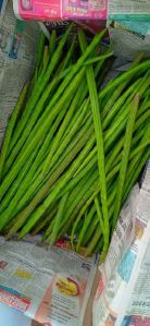 Fresh Natural Green Beans