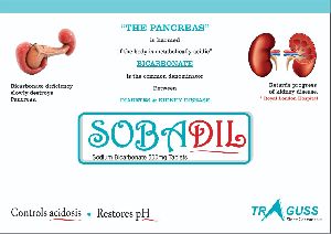 Sodium Bi Carbonate Tablets