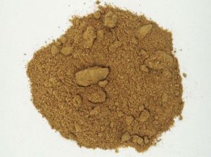 Mango Seed Extract