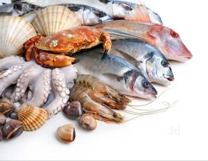 Sea Food