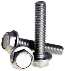 Stainless Steel Fastener