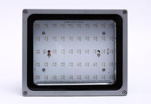 LED Coloured Floodlight