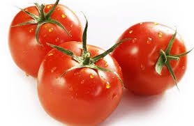 Tomato