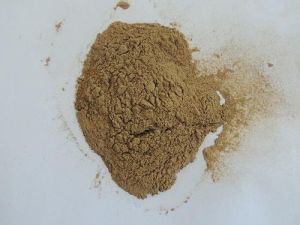 Mulethi Extract Powder