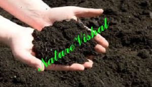 NATURE VISHAL - PhosphateRich Organic Manure (PROM)