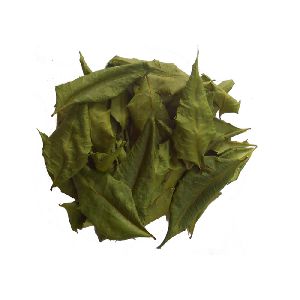 Dried Neem leaves (Azadirachta indica)