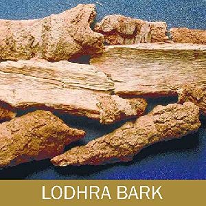 Lodhra Bark (Symplocos)