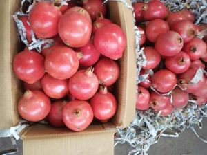 Fresh pomegranate