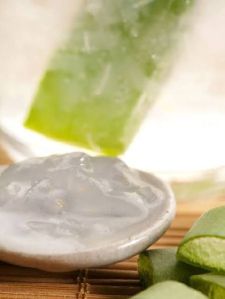 Aloe Vera Skin Gel