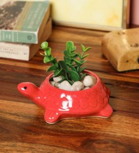 Turtle Shape Planter Pot