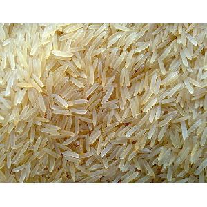 Sugandha Golden Rice