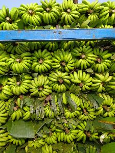 Fresh Green Banana