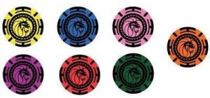 Casino Poker Chip Set