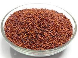 Ragi Seeds