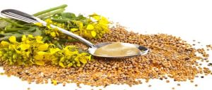 Mustard Essential Oil