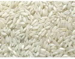 Swarna Basmati Rice