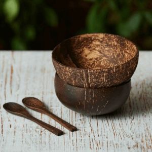 Coconut Shell Bowl