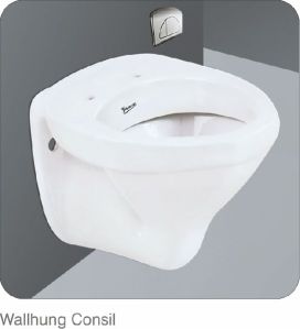 Wall Mounted Toilet