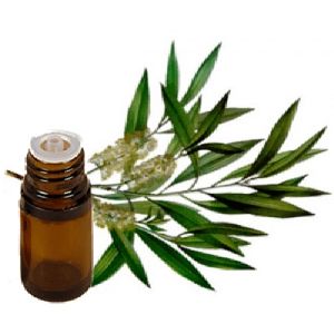 Natural Tea Tree Essential Oil