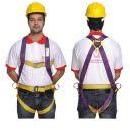 Full Body Harness